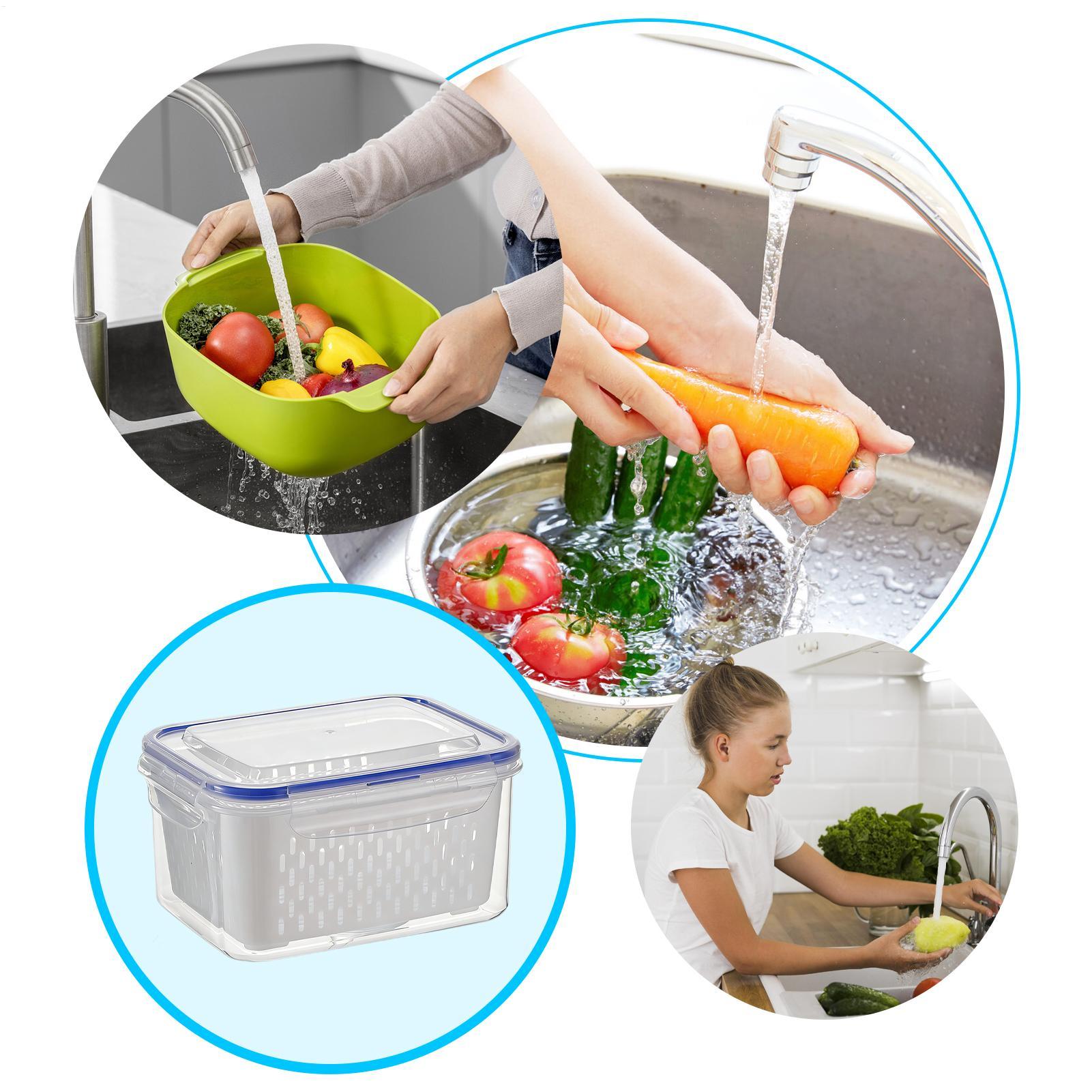 4 in 1 식품 보관 용기 4 in 1 누수 방지 투 - Food Storage Containers 리뷰 및 가격