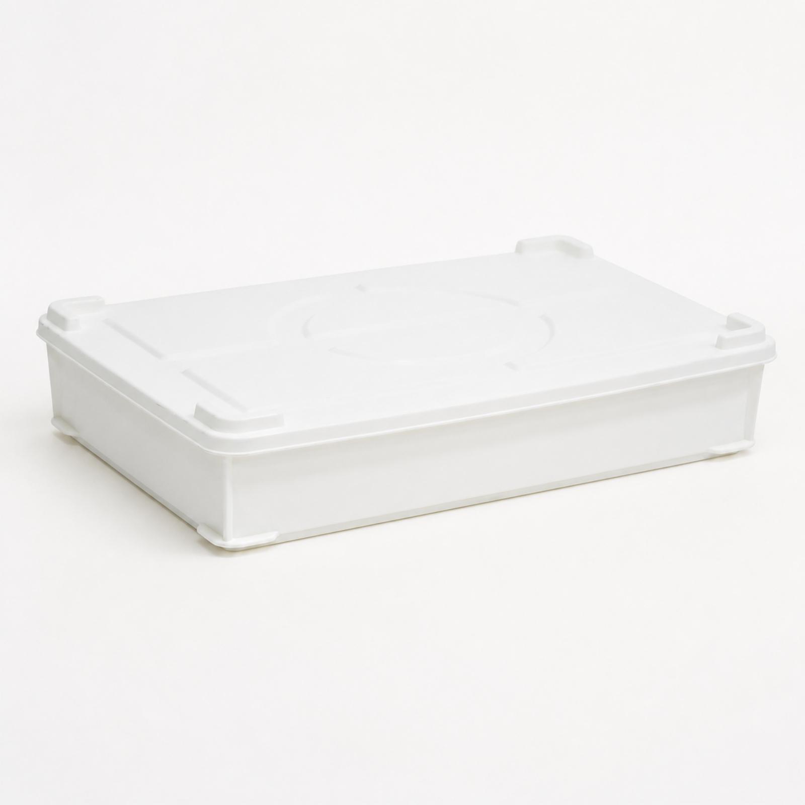 상업용 베이킹 및 식품 보관을 위한 HDPE 발효 상자 - Food Storage Containers 리뷰 및 가격